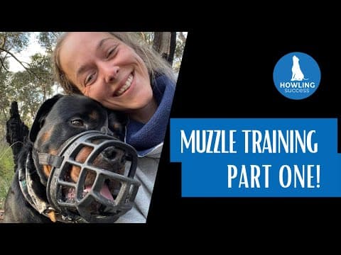 Trainer working with a dog during muzzle introduction exercises