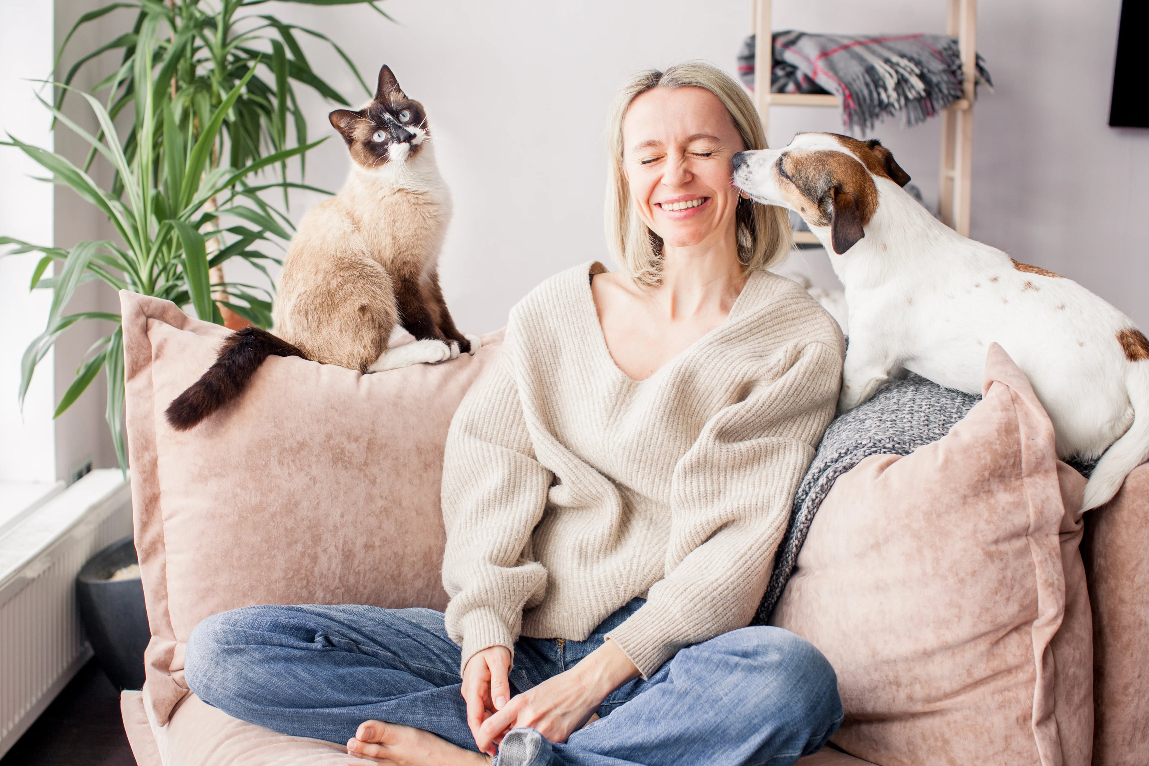 Woman relaxing on couch with her cat and dog in a harmonious shared space